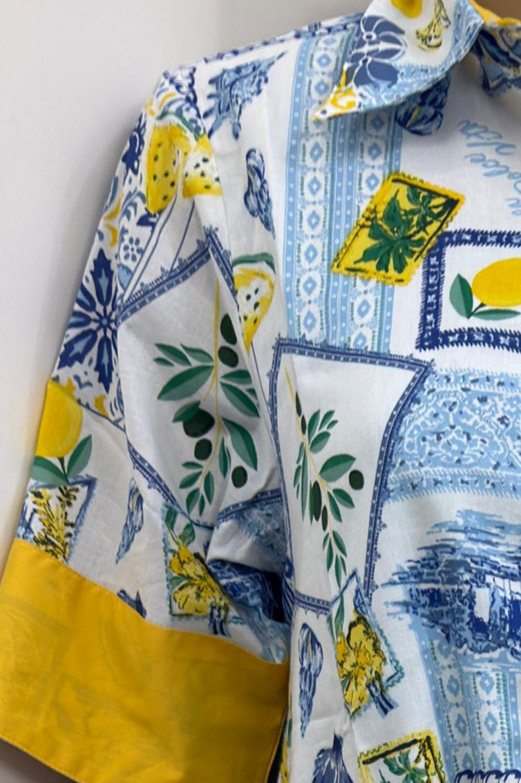 Shanaya Lemon and BlueÂ Dress